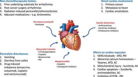 Arrhythmia & Electrophysiology Treatment .